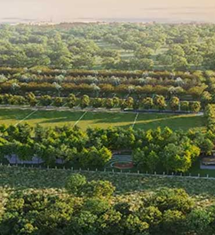 Godrej Vadodara Plots